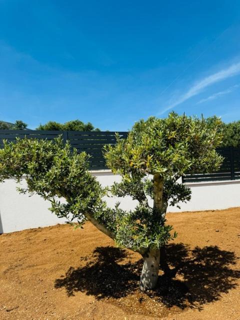 Guest House Lena, Nerezine, Mali Losinj Exterior foto